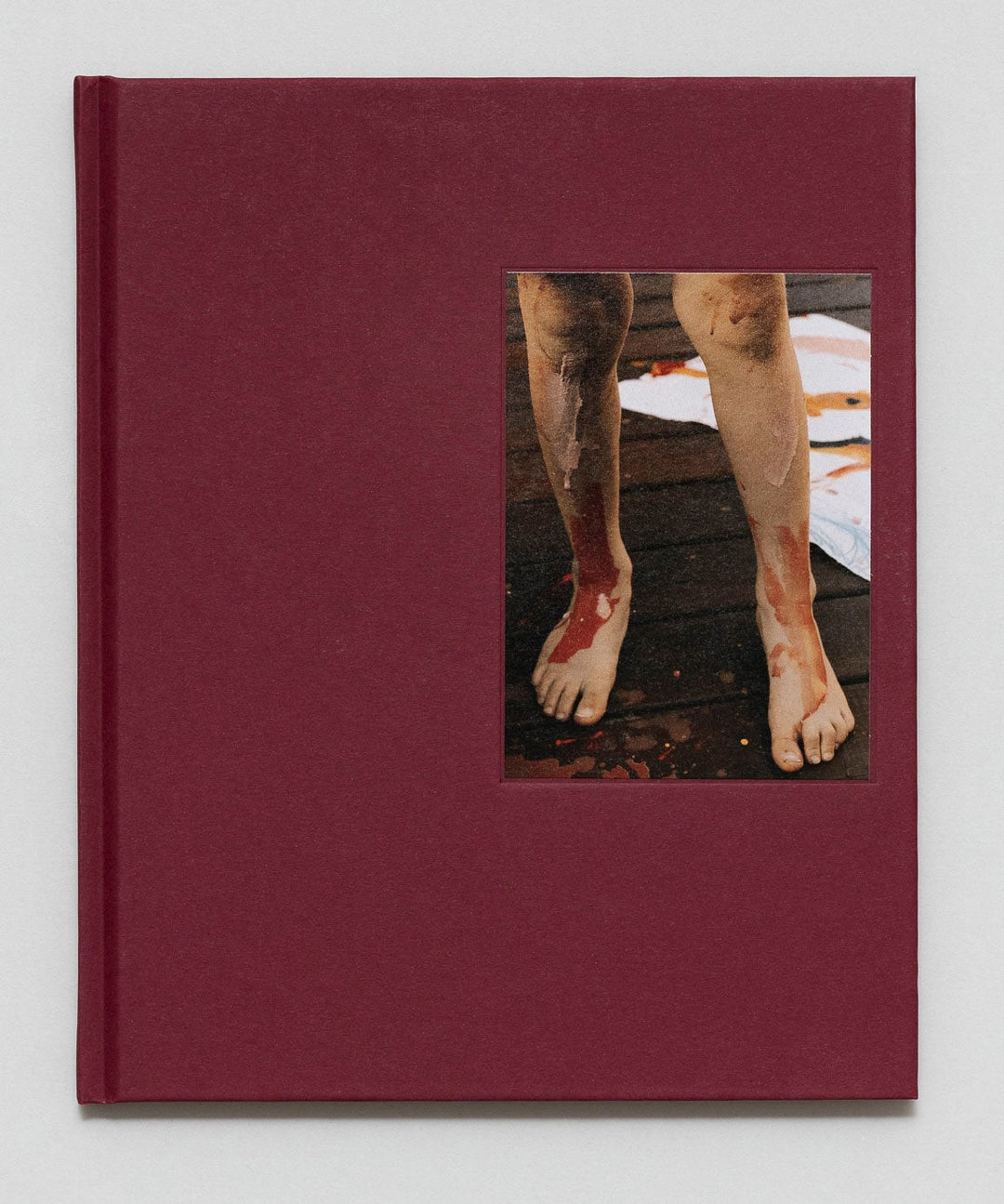 In Passing by Lisa Sorgini - Tipi bookshop