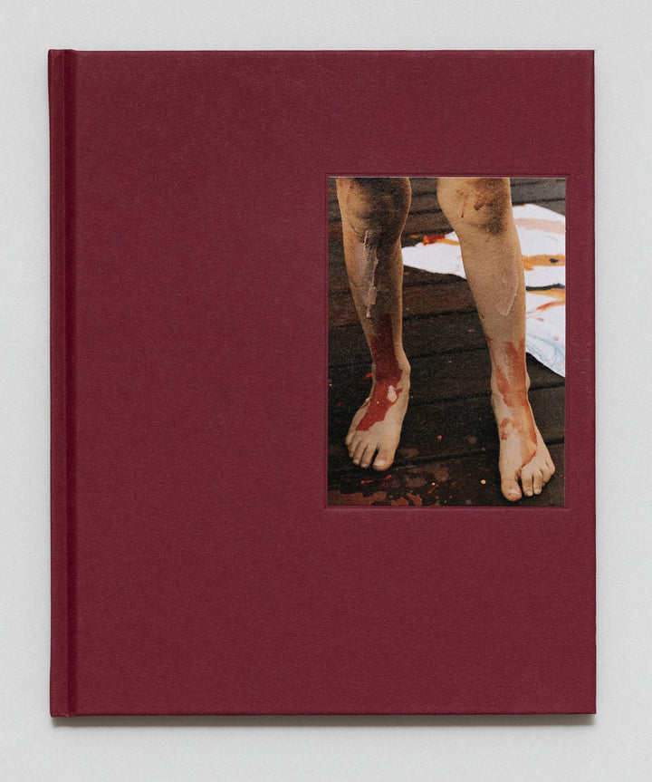 In Passing by Lisa Sorgini - Tipi bookshop