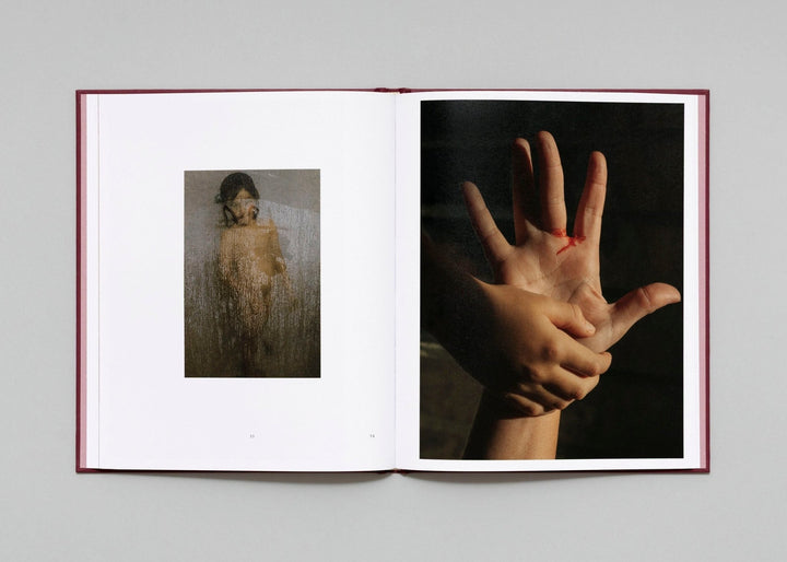 In Passing by Lisa Sorgini - Tipi bookshop