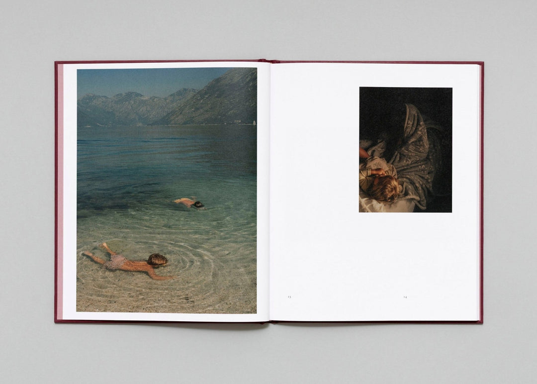 In Passing by Lisa Sorgini - Tipi bookshop