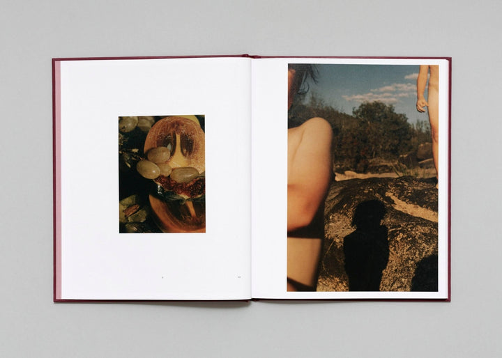 In Passing by Lisa Sorgini - Tipi bookshop