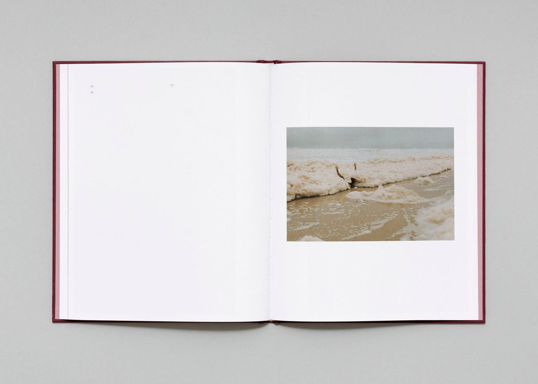 In Passing by Lisa Sorgini - Tipi bookshop