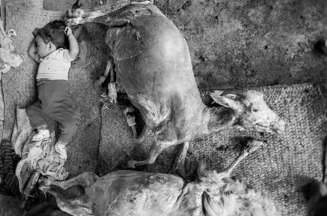 Infancia by Graciela Iturbide - Tipi bookshop