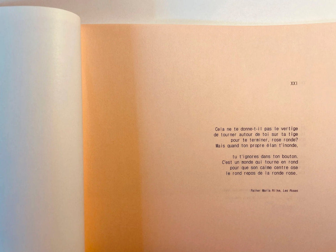 Juno by Louise Honée - Tipi bookshop
