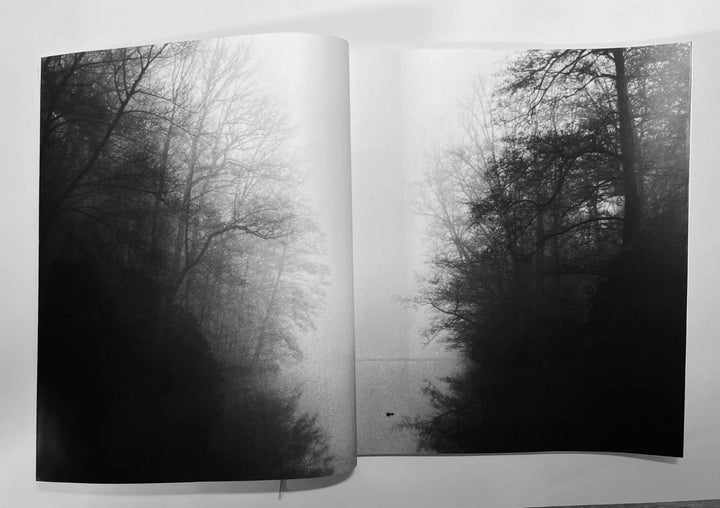 Juno by Louise Honée - Tipi bookshop