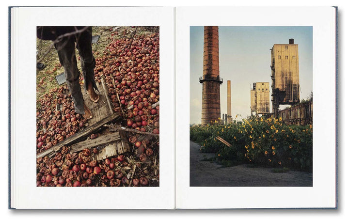 King, Queen, Knave by Gregory Halpern - Tipi bookshop