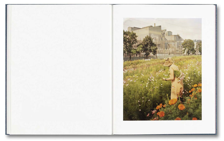 King, Queen, Knave by Gregory Halpern - Tipi bookshop