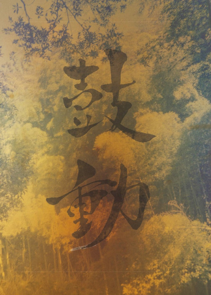 Kodo by Martin Bogren - Tipi bookshop