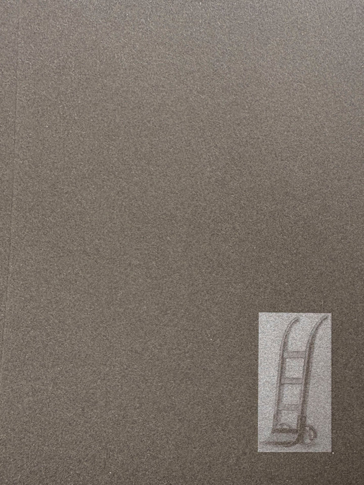 La Nonpareille by Batia Suter - Tipi bookshop