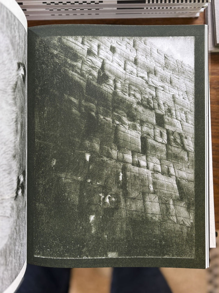 La Nonpareille by Batia Suter - Tipi bookshop