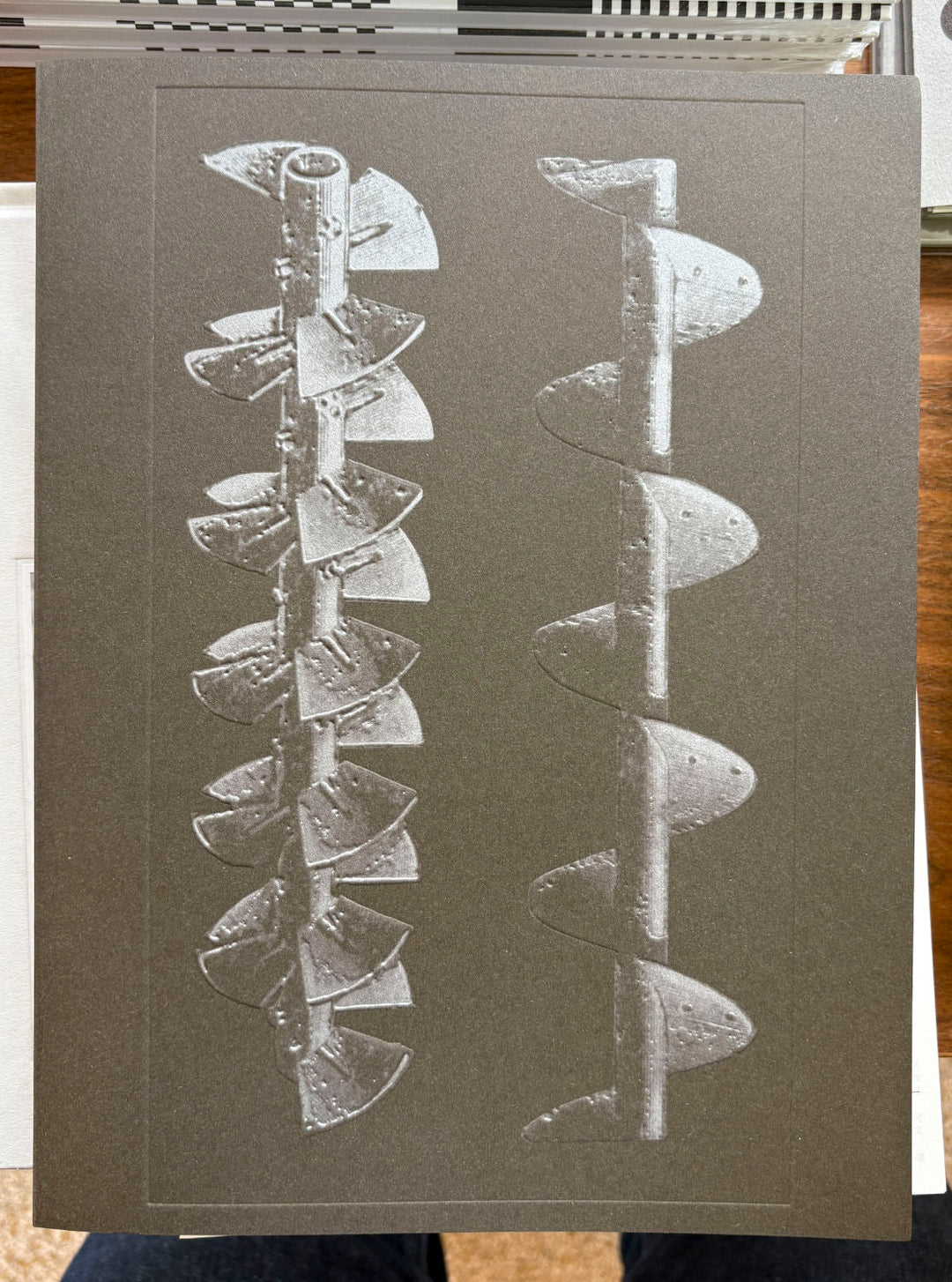 La Nonpareille by Batia Suter - Tipi bookshop