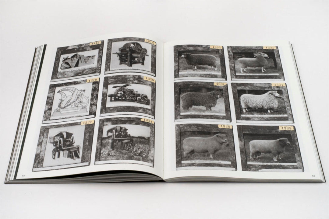 La Nonpareille by Batia Suter - Tipi bookshop