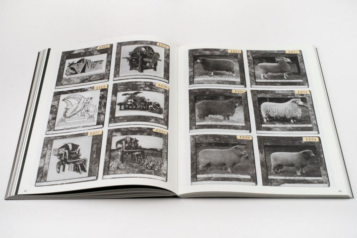 La Nonpareille by Batia Suter - Tipi bookshop