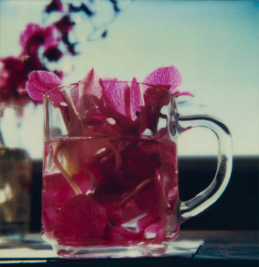 L.A Polaroids by Robby Müller - Tipi bookshop