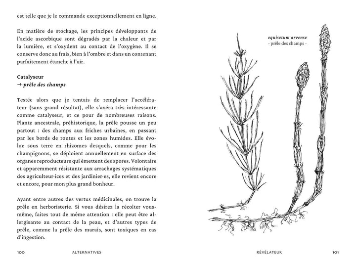 La Révélation Argentique de Nicolas Andry - Tipi bookshop