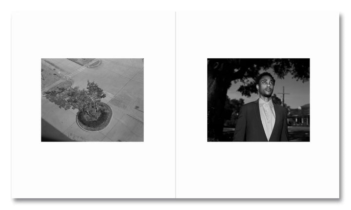 Lanthimos Unveiled: Three Publishers, One Vision - Tipi bookshop