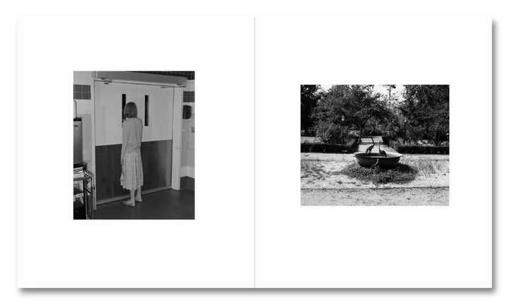Lanthimos Unveiled: Three Publishers, One Vision - Tipi bookshop