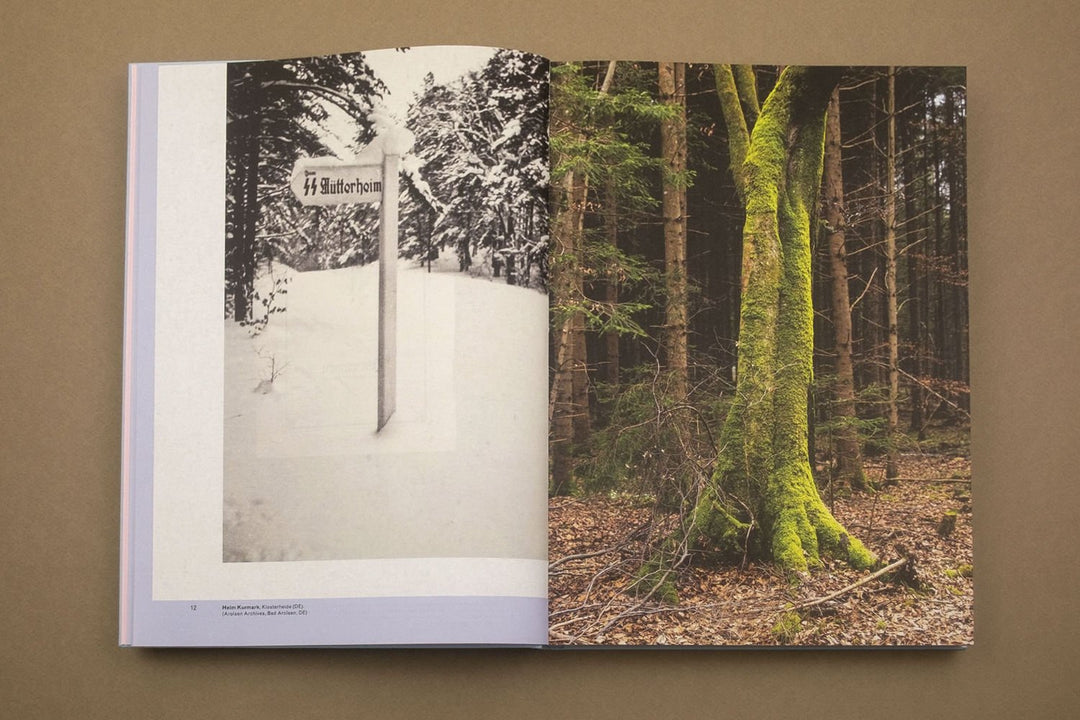 Lebensborn by Angeniet Berkers - Tipi bookshop
