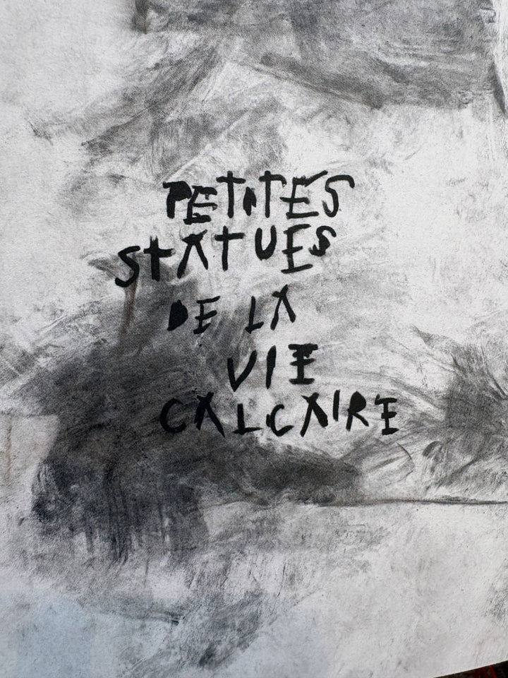 Les échelles by Florian Maricourt - Tipi bookshop