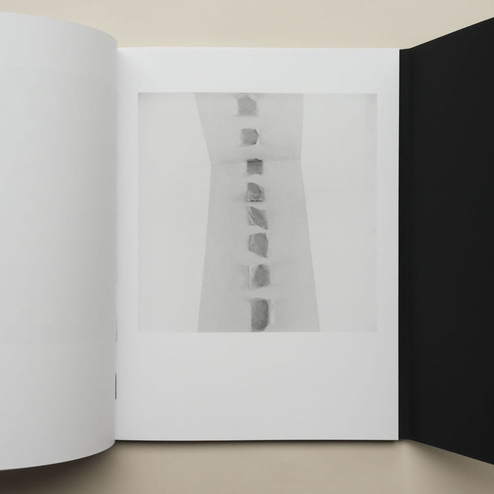 Les objectales by Denis Malartre - Tipi bookshop