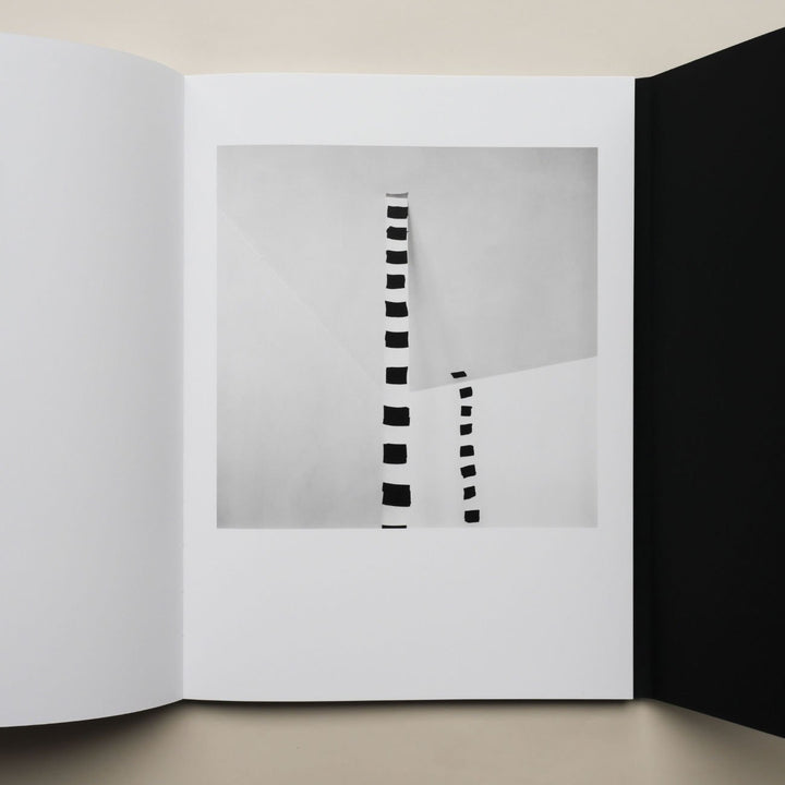 Les objectales by Denis Malartre - Tipi bookshop