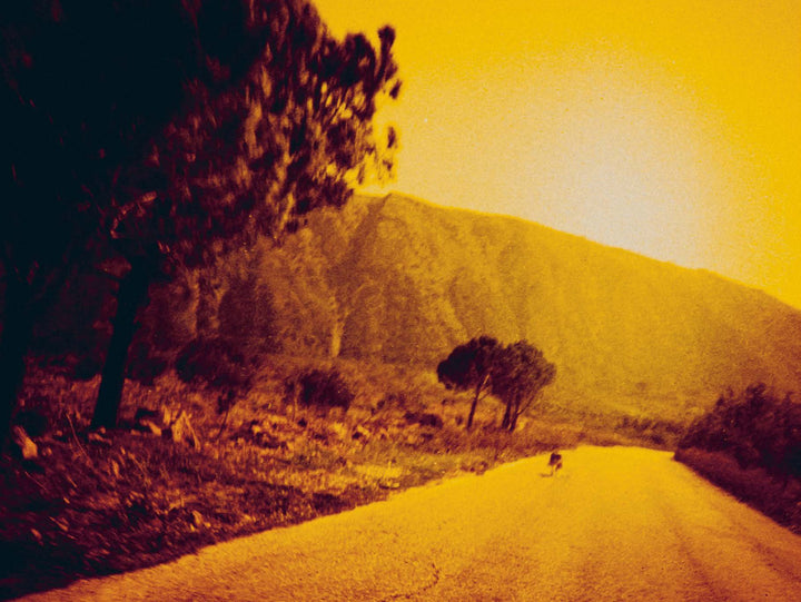 Les Ruines Circulaires by Orianne Ciantar Olive - Tipi bookshop