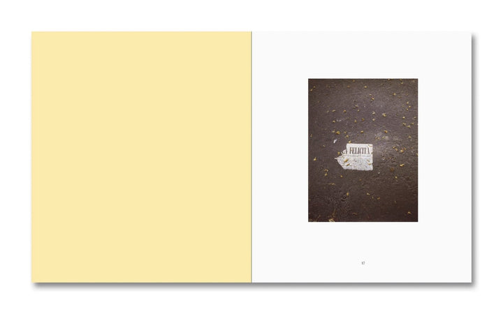 Luigi Ghirri Felicità by Alessio Bolzoni & Luca Guadagnino - Tipi bookshop