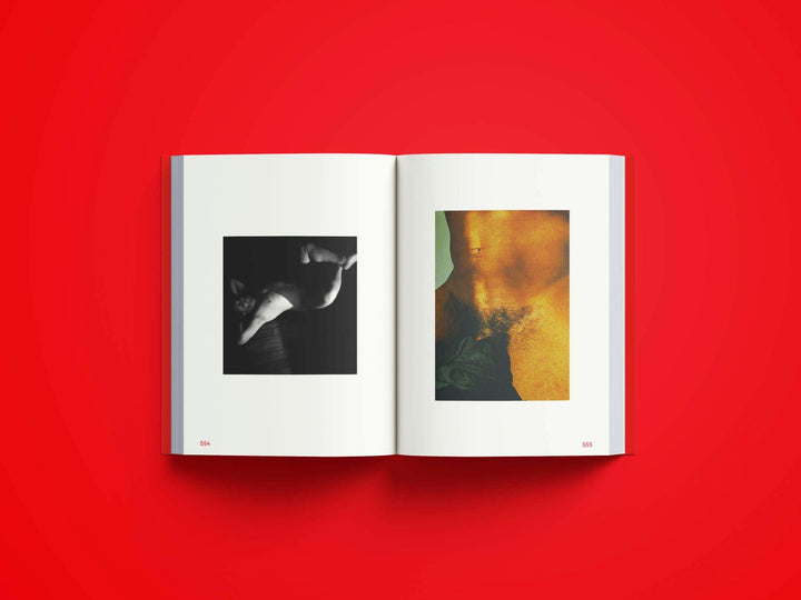 Lusted men - une collection de photographies érotiques d´hommes - Tipi bookshop