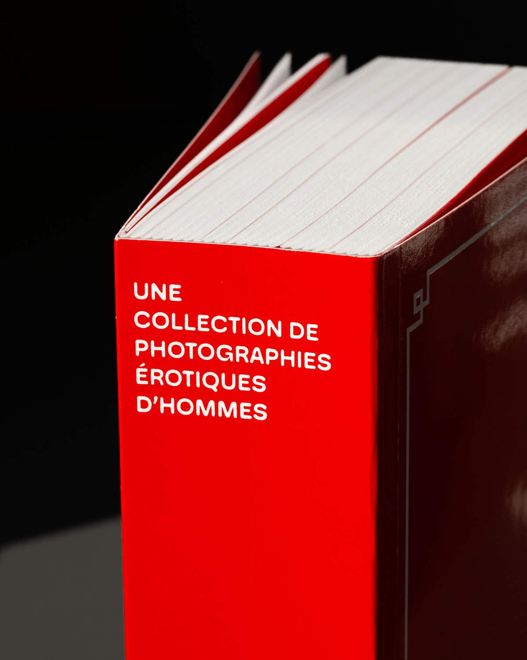 Lusted men - une collection de photographies érotiques d´hommes - Tipi bookshop