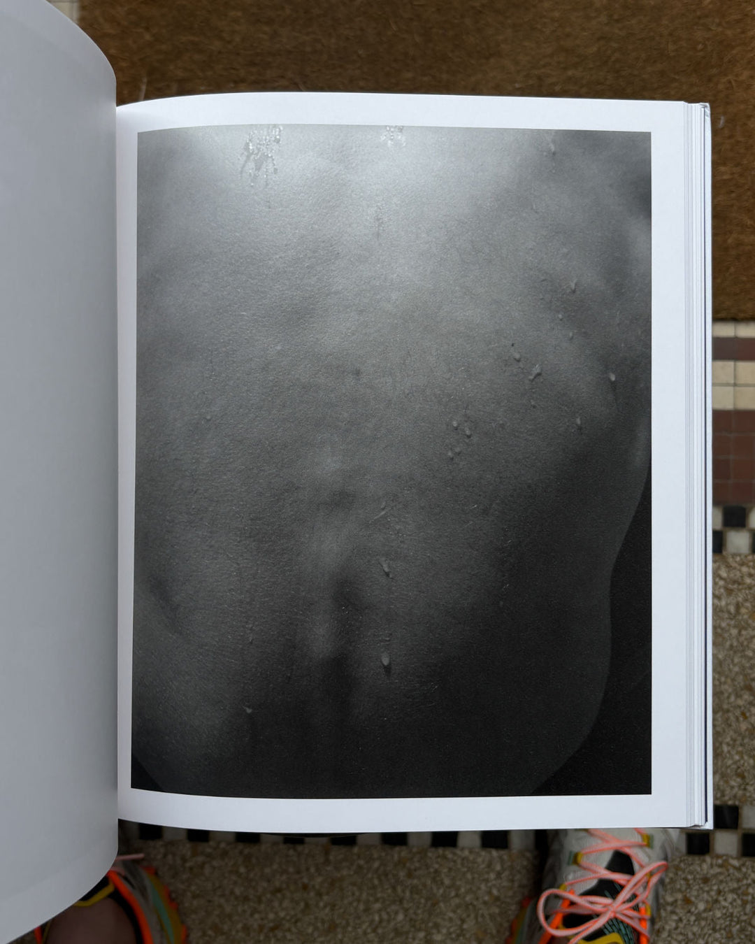 Mango Season by Jenia Fridlyand - Tipi bookshop