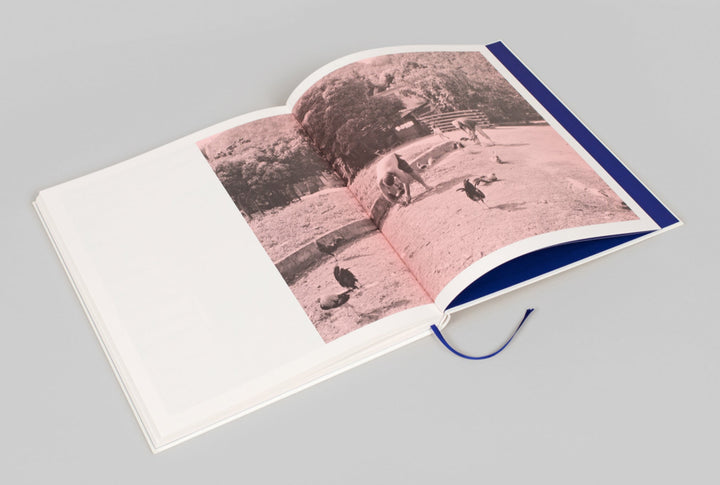 Mango Season by Jenia Fridlyand - Tipi bookshop