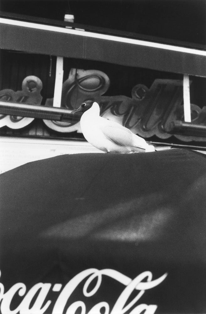 Natural sources by Jochen Lempert - Tipi bookshop