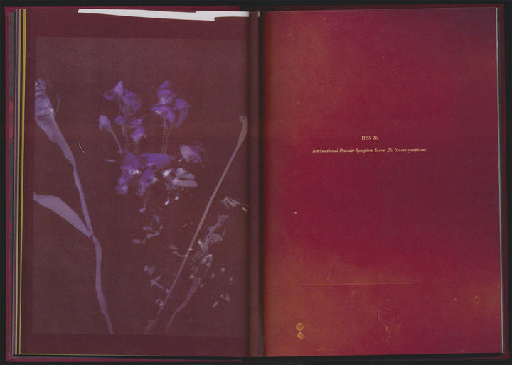 No flowers by Akosua Viktoria Adu - Sanyah - Tipi bookshop