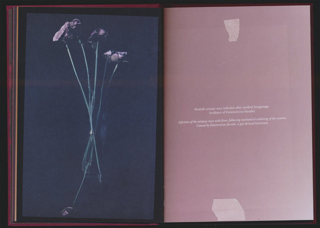 No flowers by Akosua Viktoria Adu - Sanyah - Tipi bookshop
