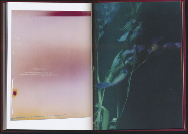 No flowers by Akosua Viktoria Adu - Sanyah - Tipi bookshop