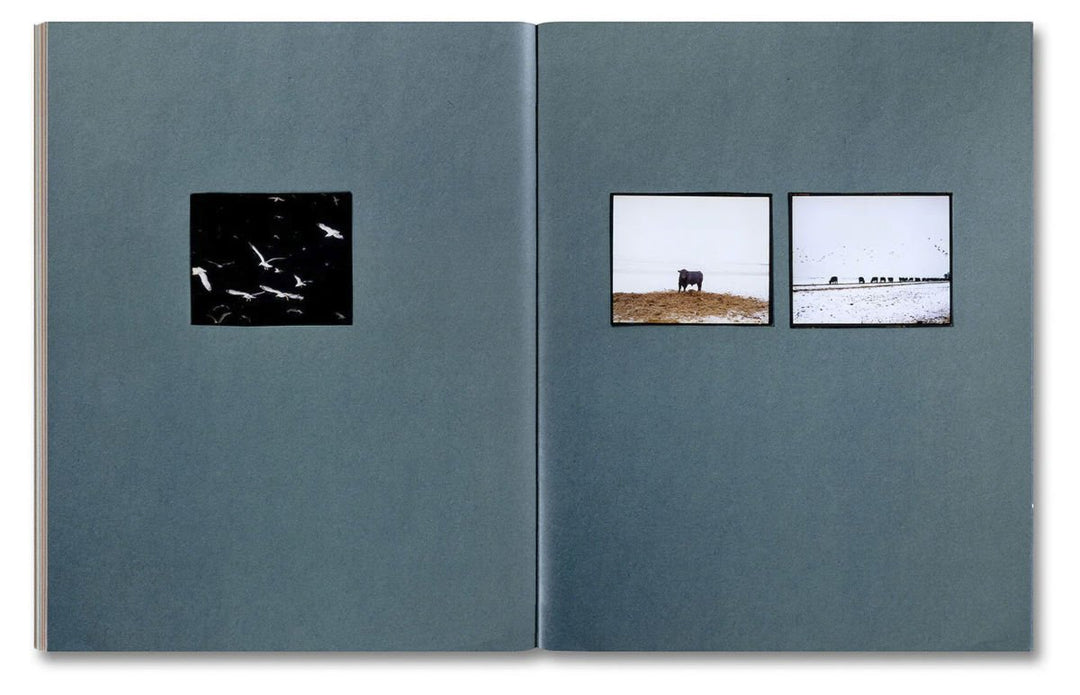 Omaha Sketchbook by Gregory Halpern - Tipi bookshop
