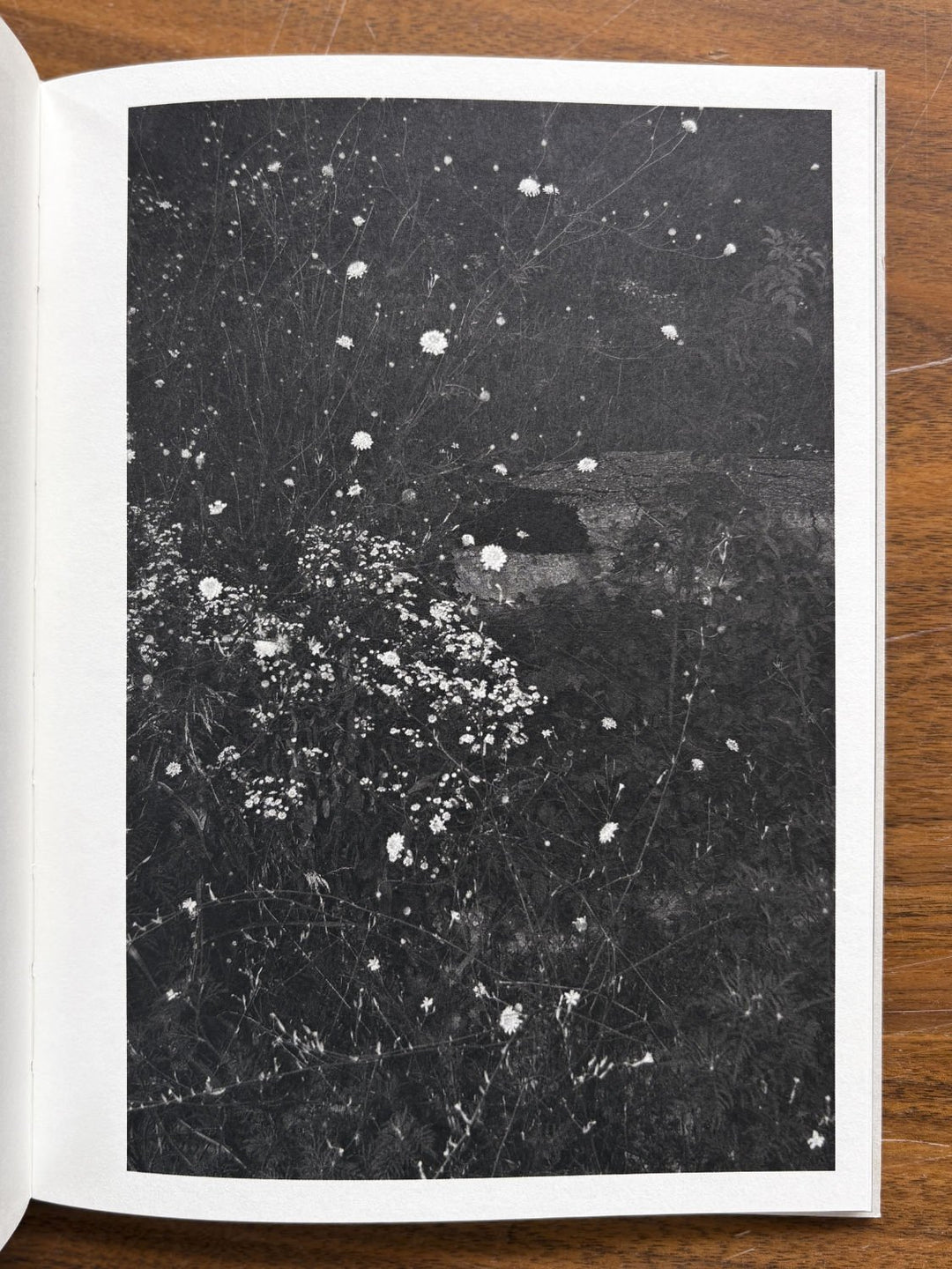On Heaven's Doorsill by Roxana Savin - Tipi bookshop