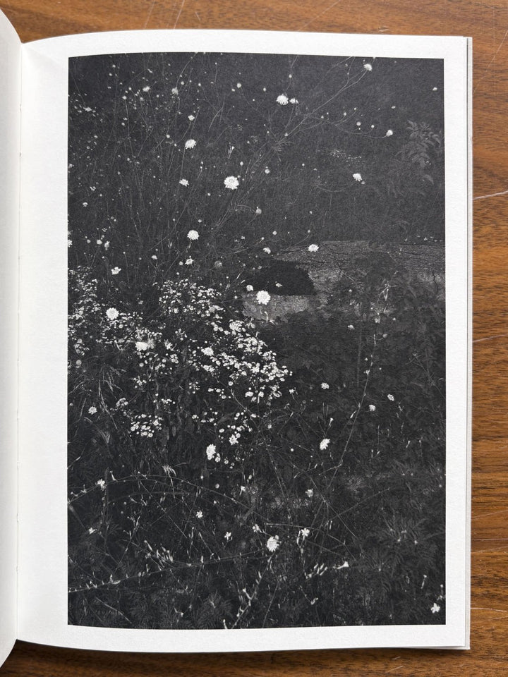 On Heaven's Doorsill by Roxana Savin - Tipi bookshop
