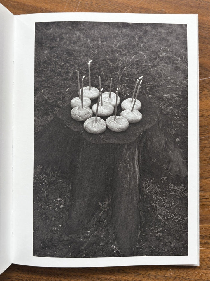 On Heaven's Doorsill by Roxana Savin - Tipi bookshop