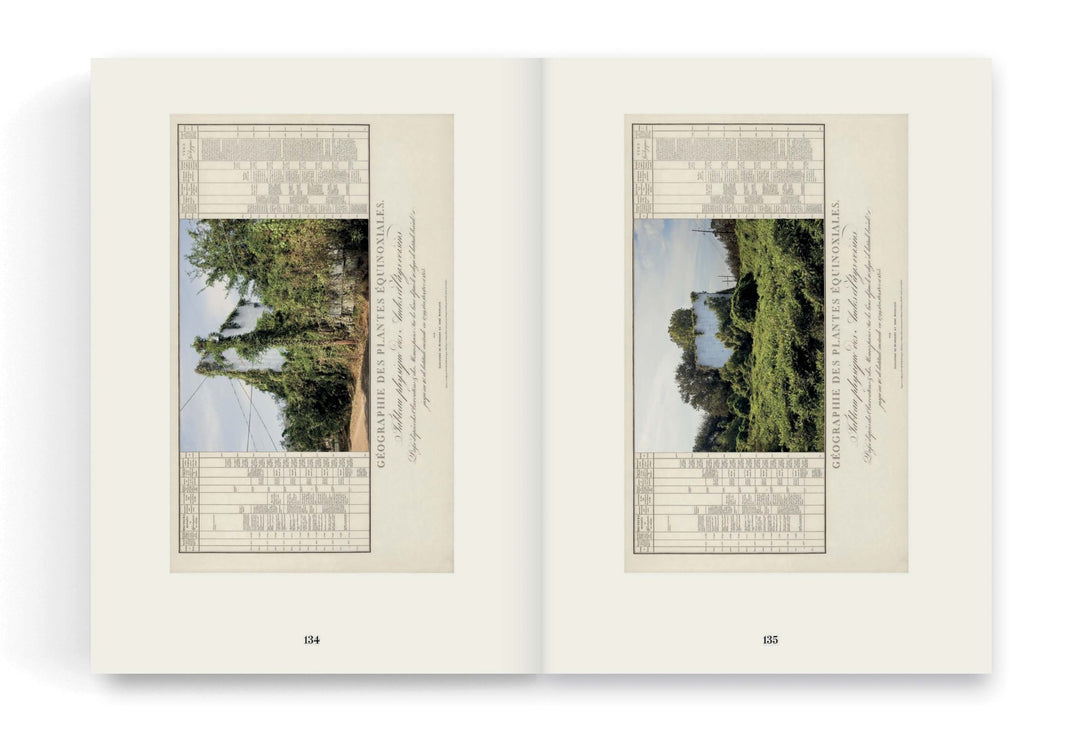 On the Geography of Green by Linarejos Moreno - Tipi bookshop