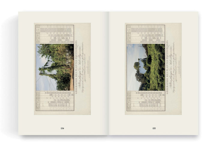 On the Geography of Green by Linarejos Moreno - Tipi bookshop