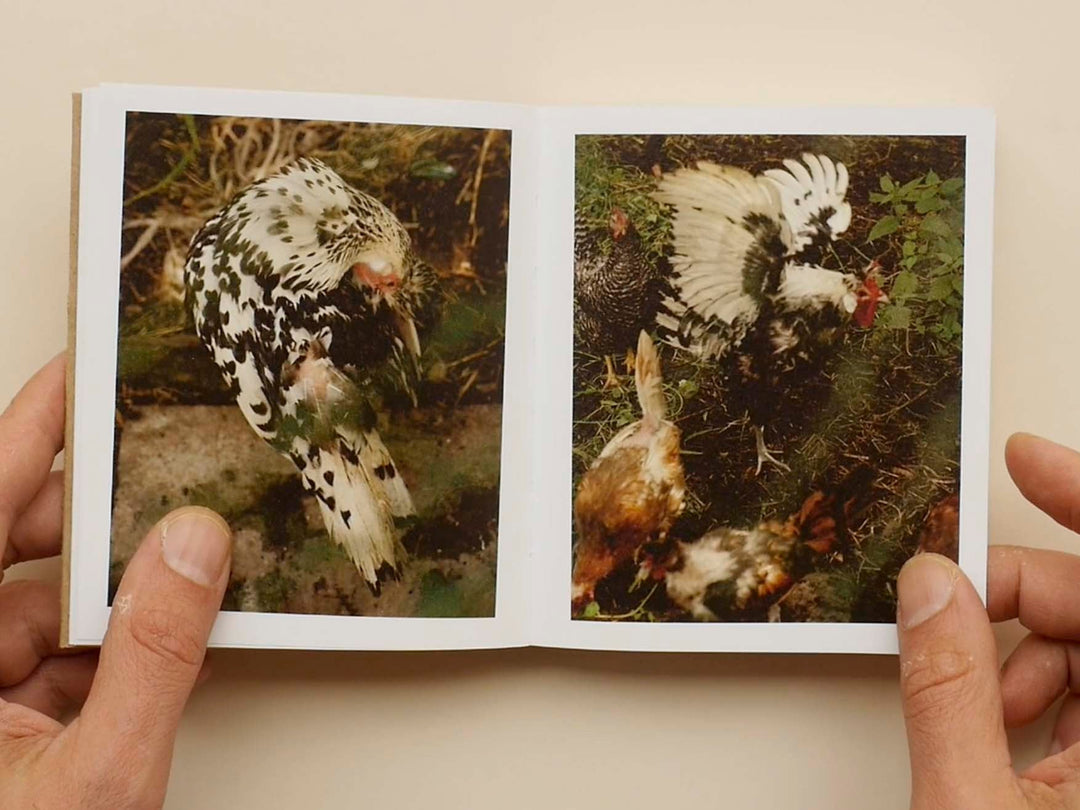 One bed, two blankets, seventy - six rules by Sabine Hess & Nicolas Polli - Tipi bookshop