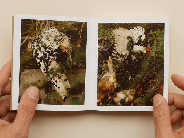 One bed, two blankets, seventy - six rules by Sabine Hess & Nicolas Polli - Tipi bookshop