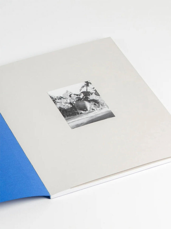Overtime by Margo Ovcharenko - Tipi bookshop