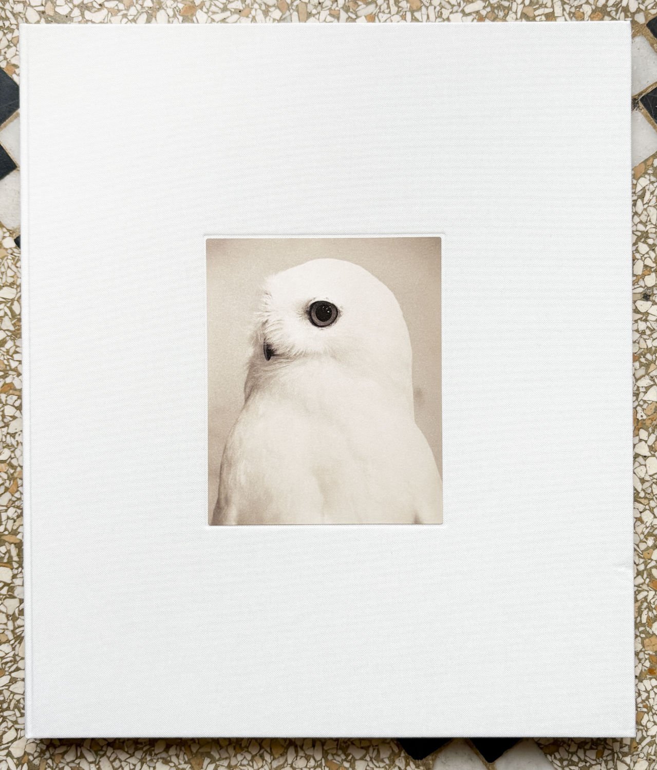 Owl by Yamamoto Masao at the Tipi bookshop