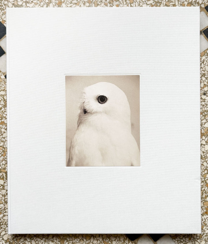 Owl by Yamamoto Masao - Tipi bookshop