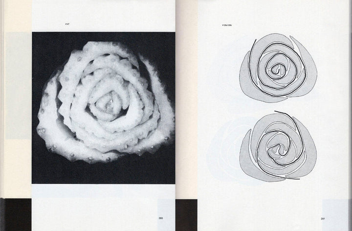 Patterns in Nature by Peter S. Stevens & Yiannis Papadopoulos - Tipi bookshop