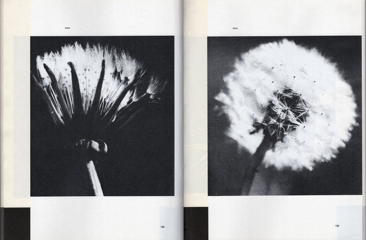 Patterns in Nature by Peter S. Stevens & Yiannis Papadopoulos - Tipi bookshop