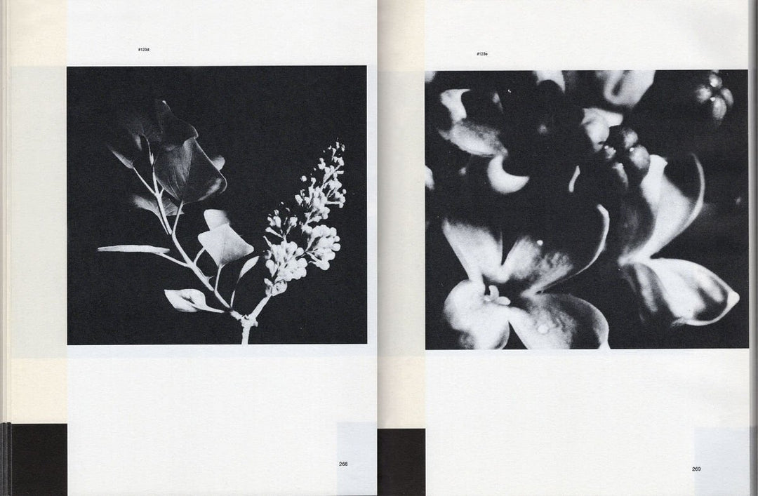 Patterns in Nature by Peter S. Stevens & Yiannis Papadopoulos - Tipi bookshop
