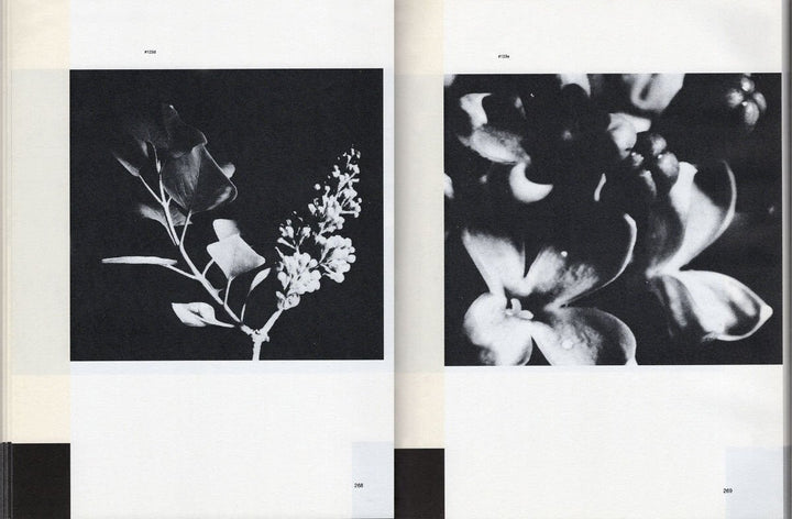 Patterns in Nature by Peter S. Stevens & Yiannis Papadopoulos - Tipi bookshop